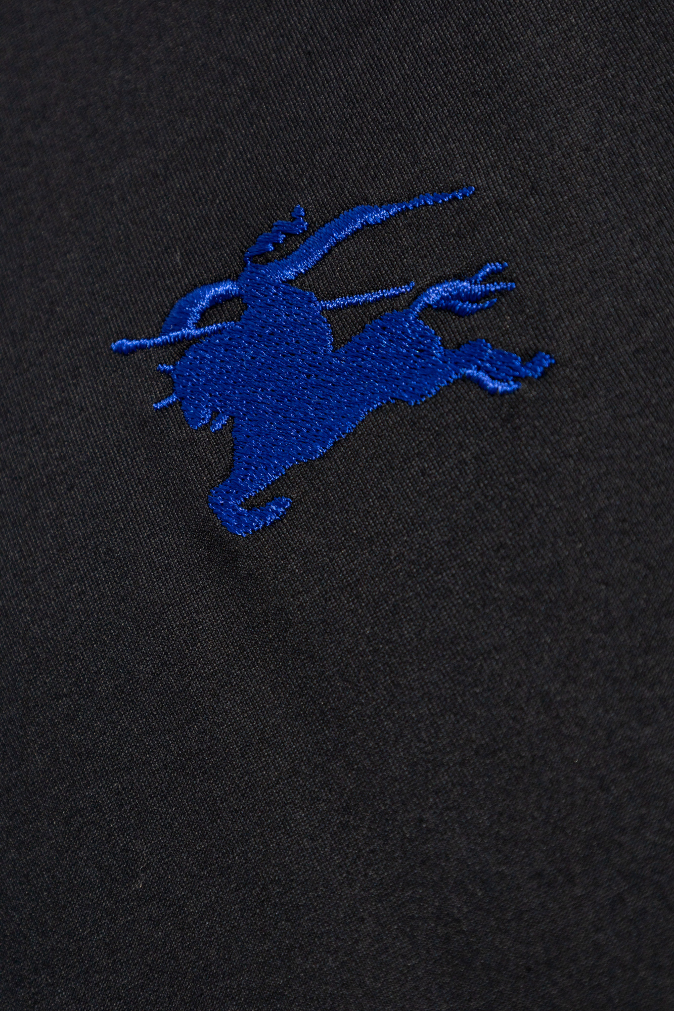 Burberry Embroidered T-shirt | Men's Clothing | Vitkac